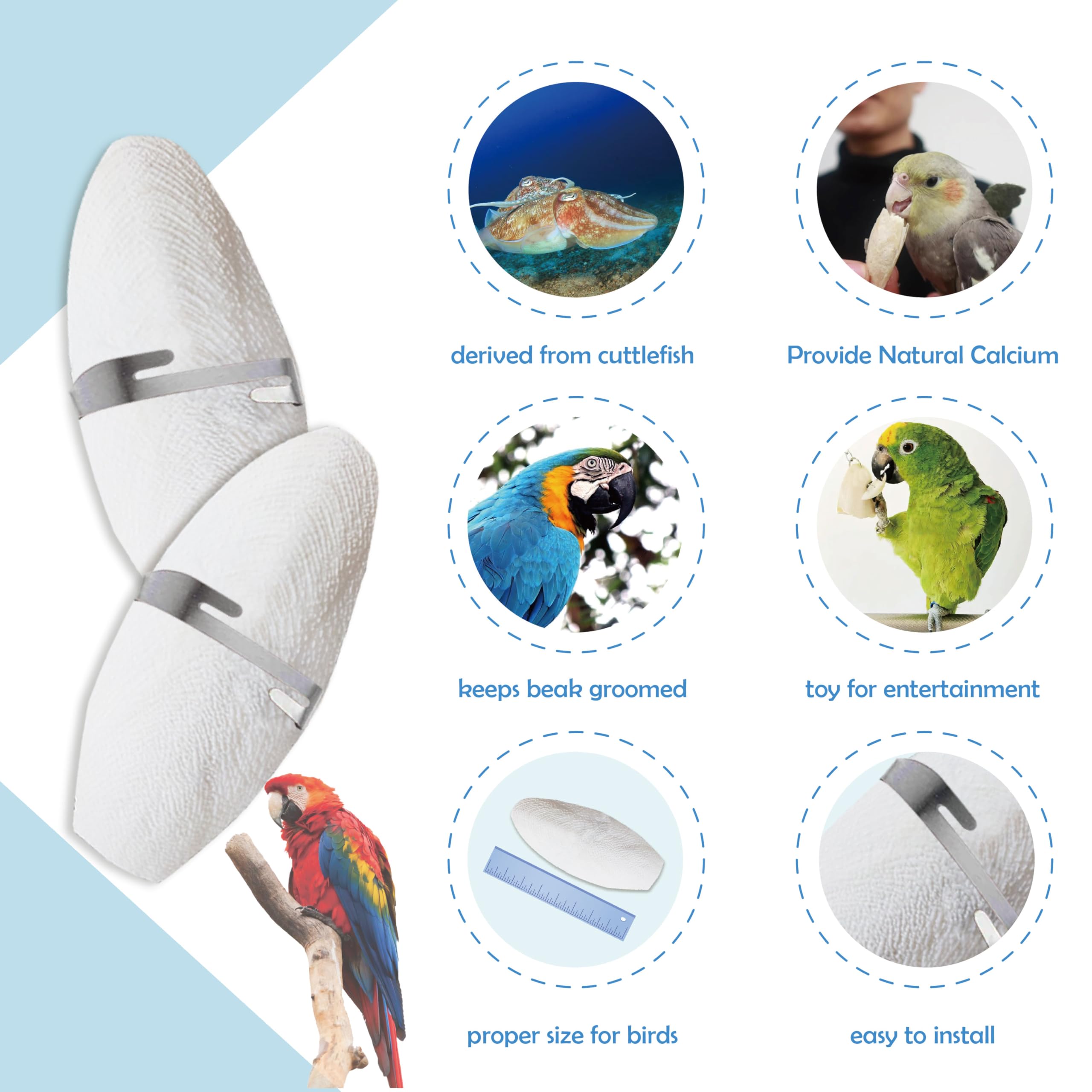 Jmxus 5-5.5 Bird Cuttlebone for Parakeets, Cuddle Bone with Metal Holder, Cuttlefish Bone for Sharp Beaks, Natural Birds Calciu